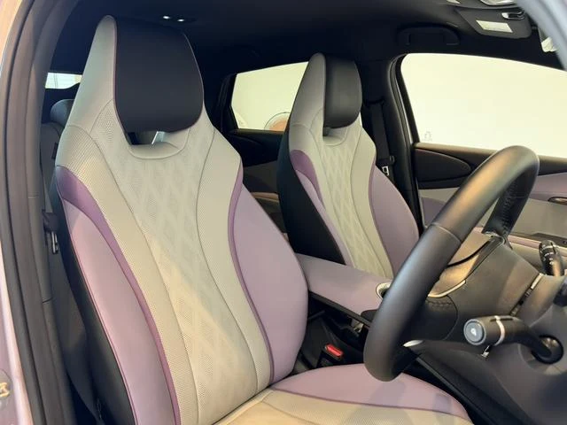 BYD DOLPHIN 20