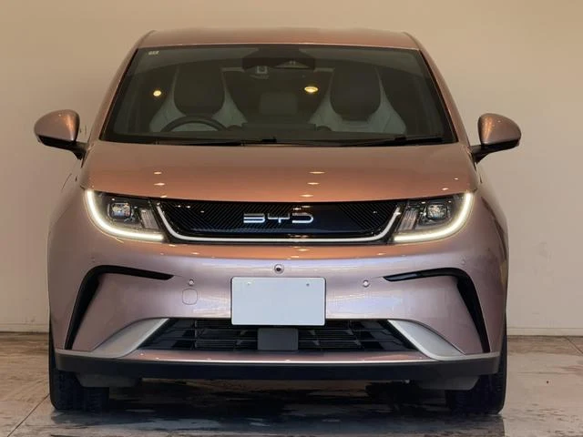 BYD DOLPHIN 44