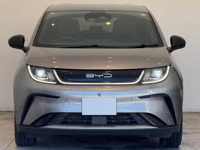 BYD DOLPHIN 44