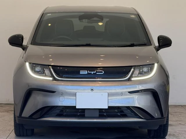 BYD DOLPHIN 43