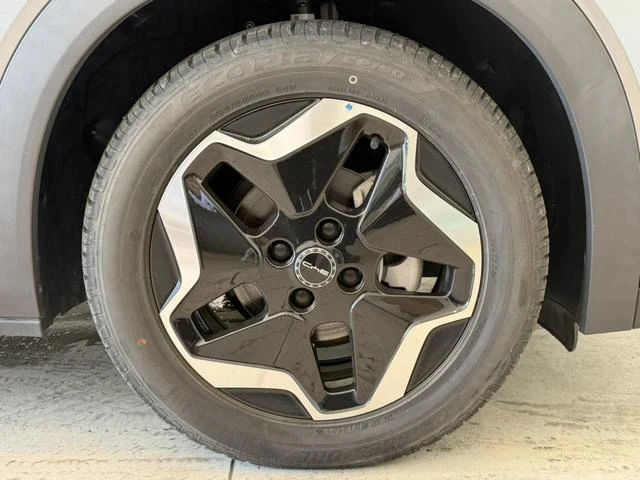 BYD DOLPHIN 12