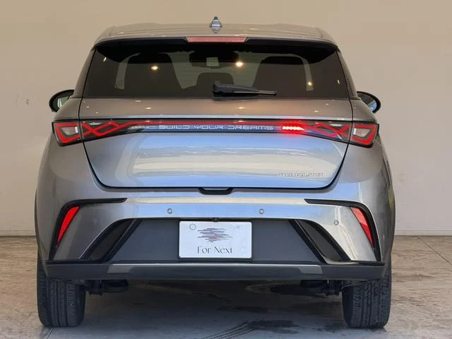 BYD DOLPHIN 49