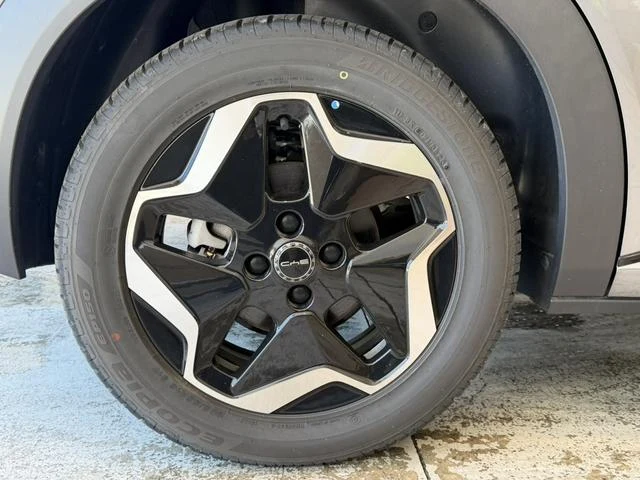 BYD DOLPHIN 53