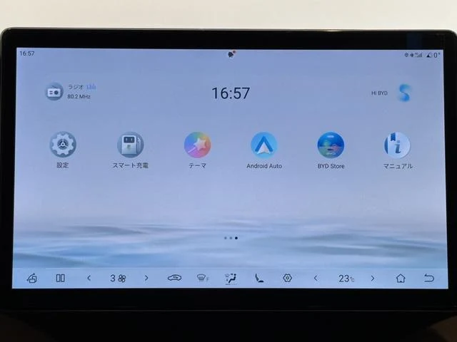 BYD DOLPHIN 70