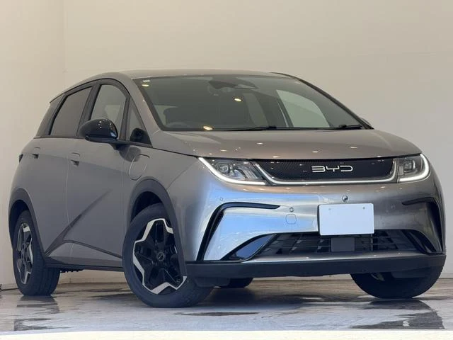 BYD DOLPHIN 42