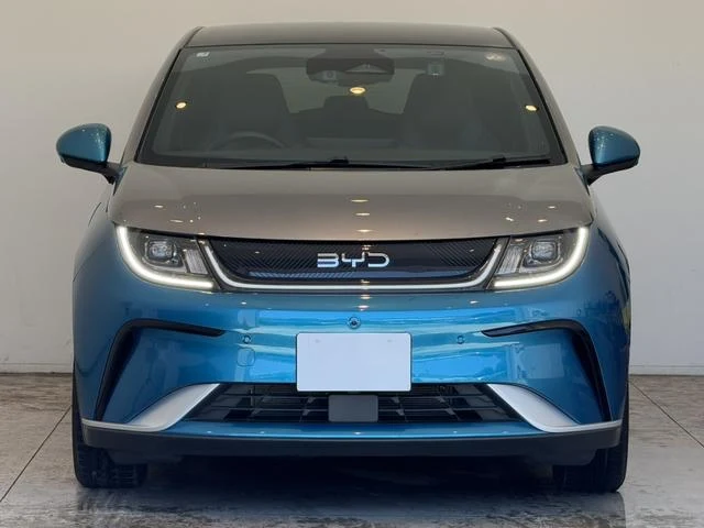 BYD DOLPHIN 9