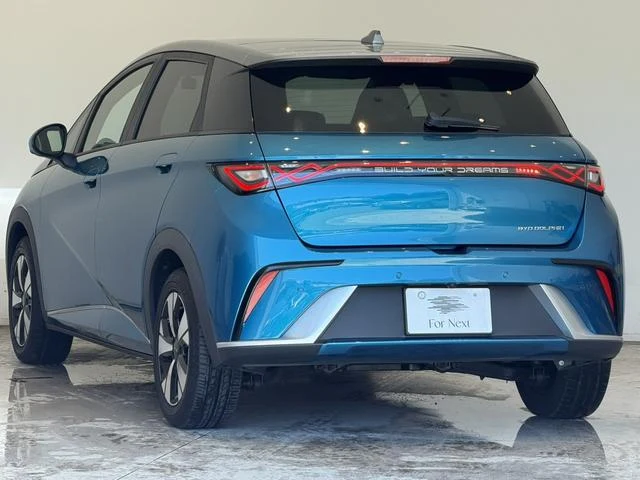 BYD DOLPHIN 14