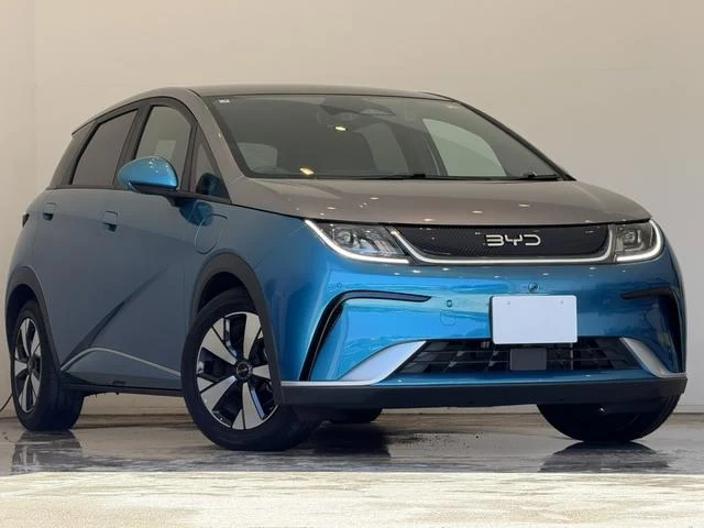 BYD DOLPHIN 47