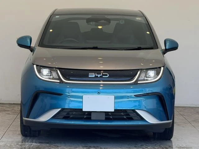 BYD DOLPHIN 10