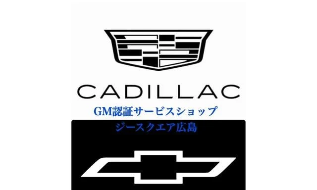 Cadillac ESCALADE 10