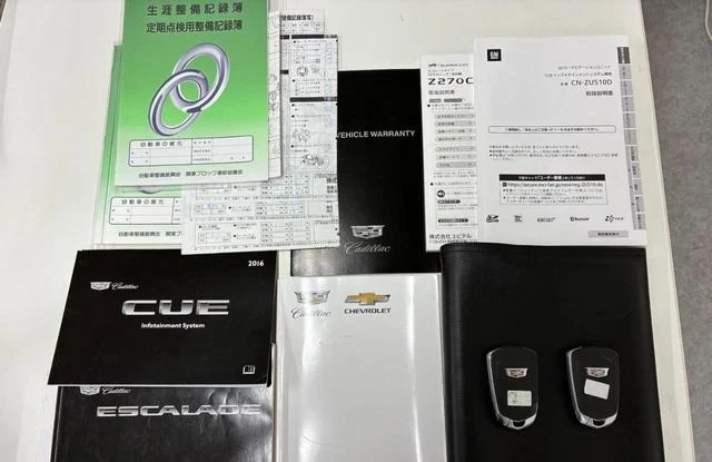 Cadillac ESCALADE 21