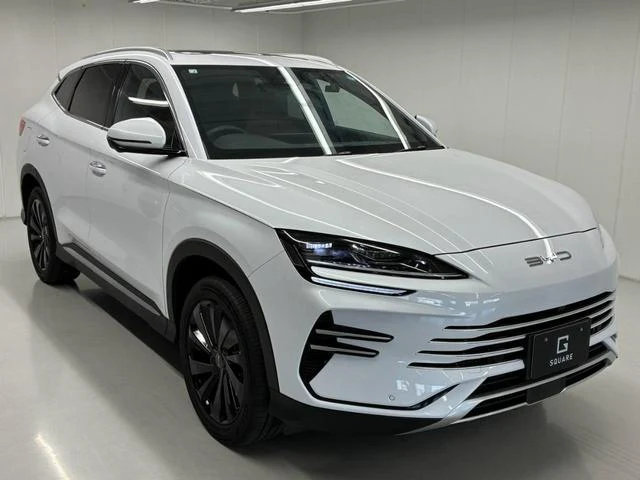 BYD SEALION 6 10