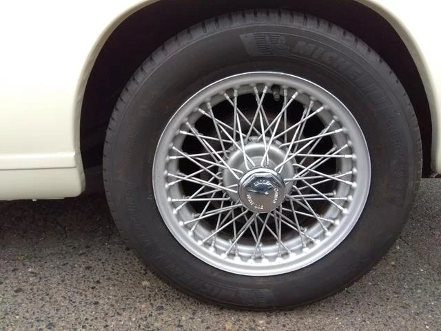 Triumph STAG 17