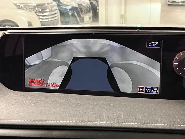 Lexus UX 31