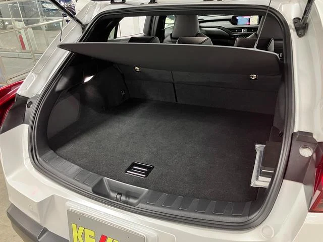 Lexus UX 25