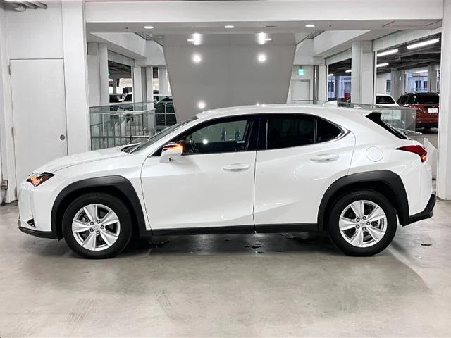 Lexus UX 9