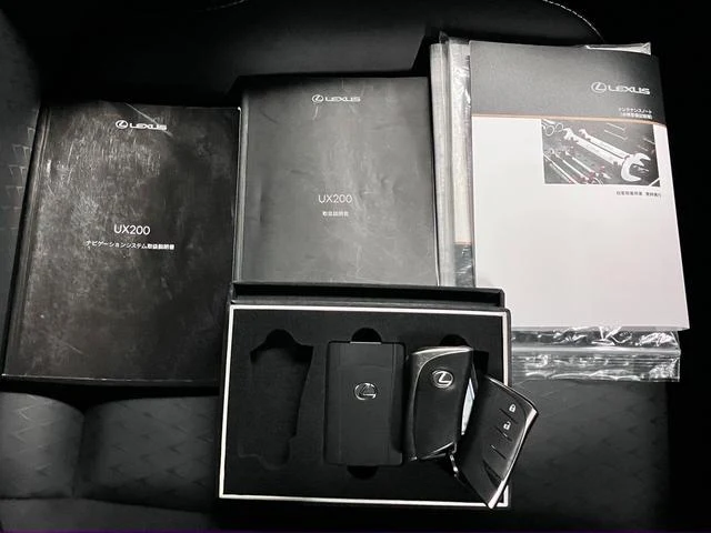 Lexus UX 54