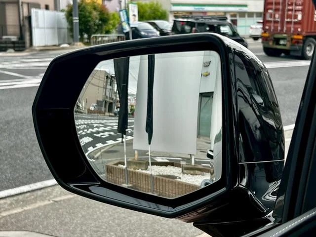 Cadillac ESCALADE 59