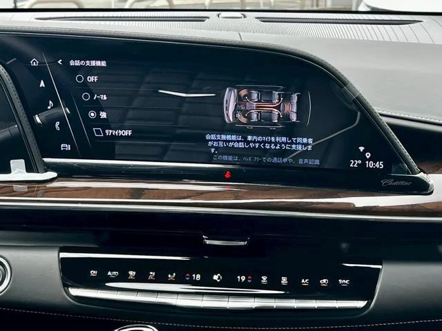 Cadillac ESCALADE 51