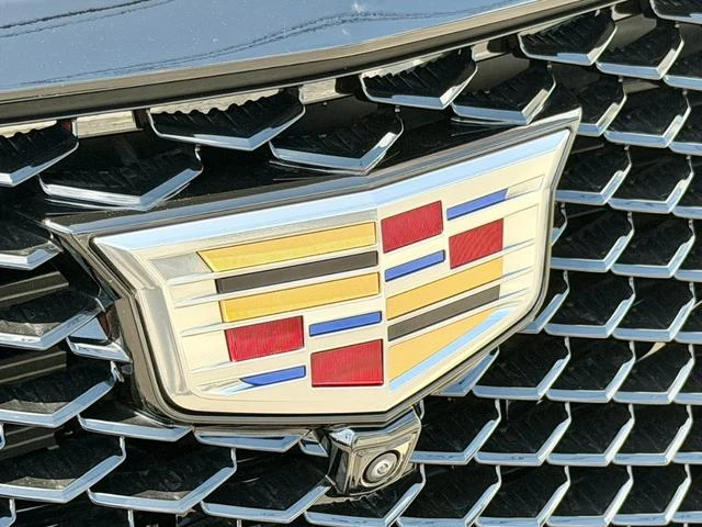 Cadillac ESCALADE 19