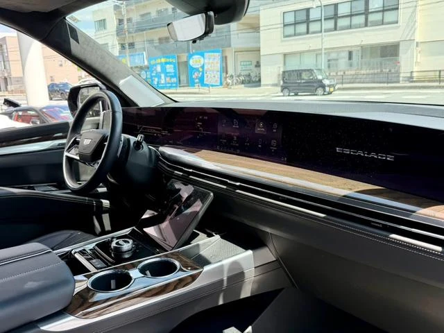 Cadillac ESCALADE 24