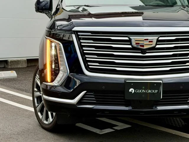 Cadillac ESCALADE 13