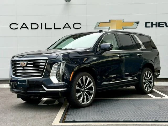 Cadillac ESCALADE 12