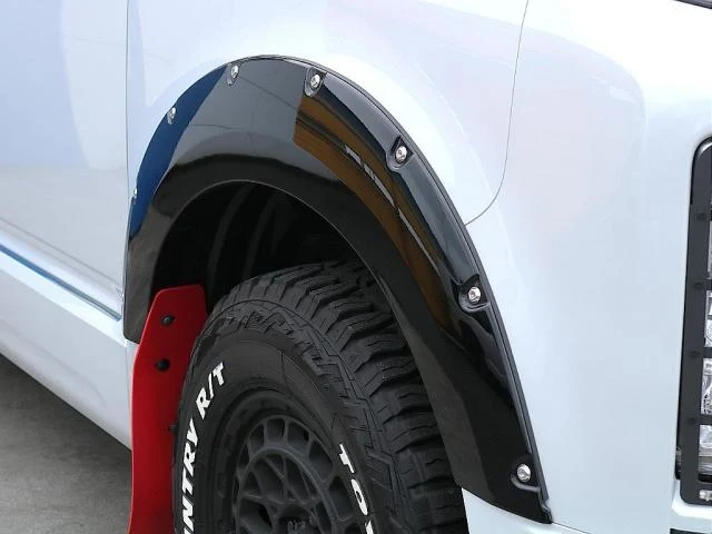 Mitsubishi DELICA 11