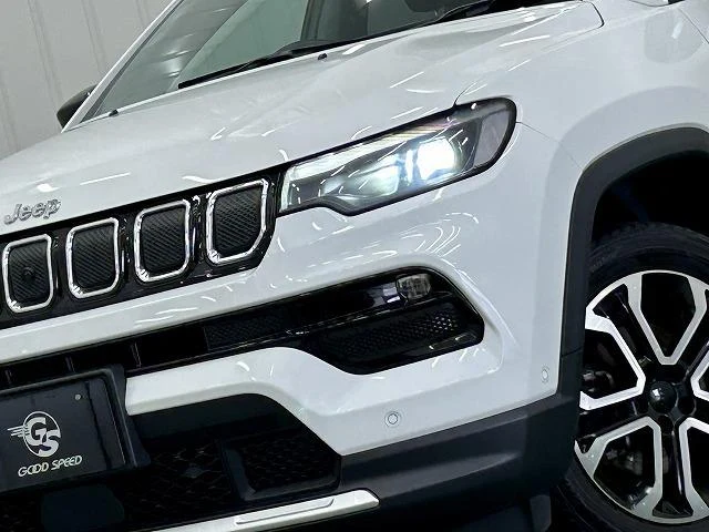 Chrysler JEEP 29