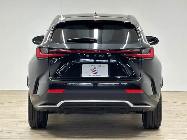 Lexus NX 15