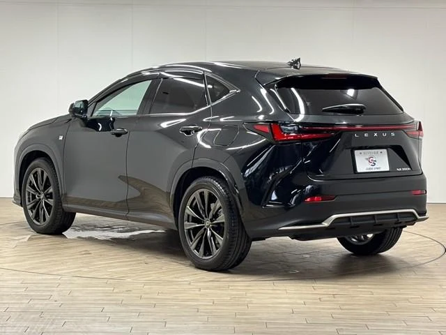 Lexus NX 23