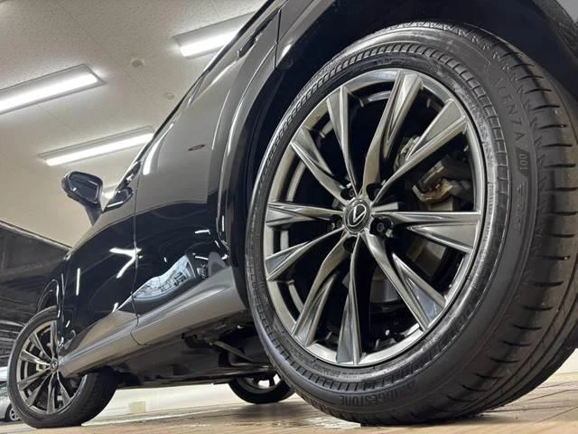 Lexus NX 18
