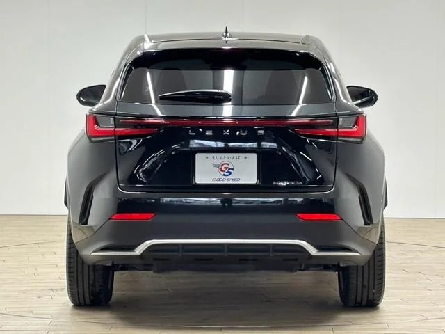 Lexus NX 70