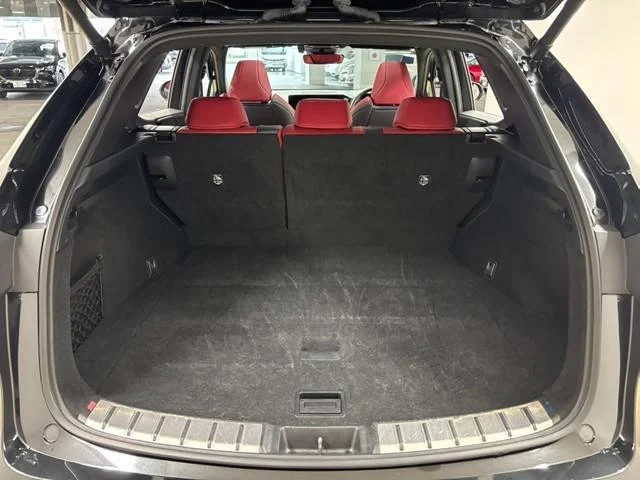 Lexus NX 12
