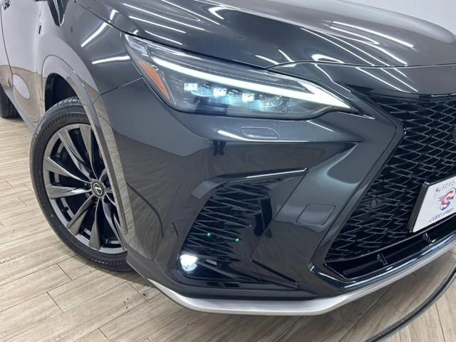 Lexus NX 73