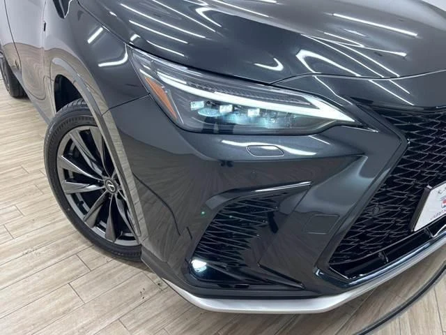 Lexus NX 19