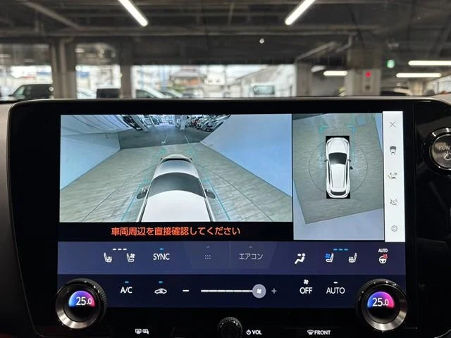 Lexus NX 59