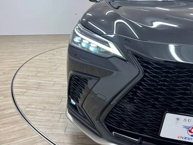 Lexus NX 72
