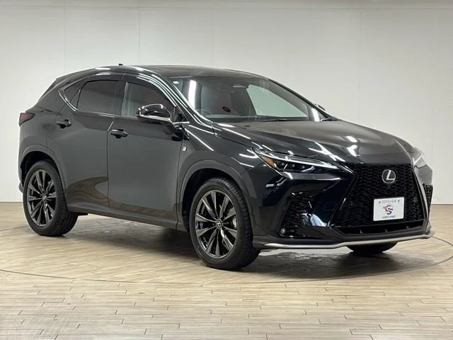 Lexus NX 20