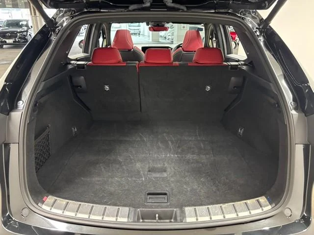 Lexus NX 61
