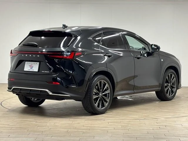 Lexus NX 22