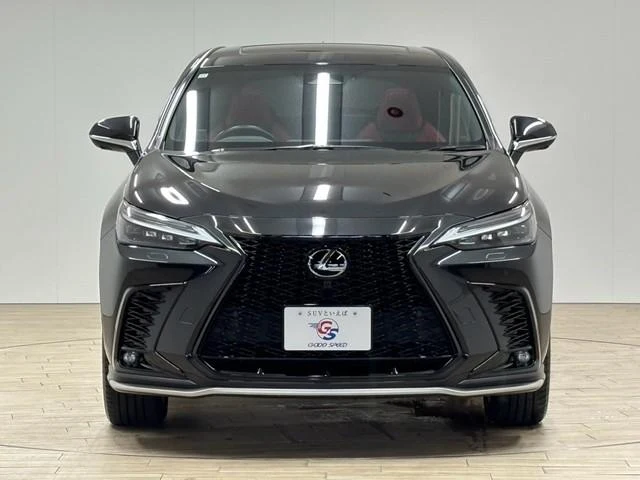 Lexus NX 27