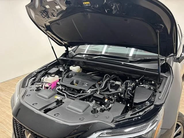 Lexus NX 13