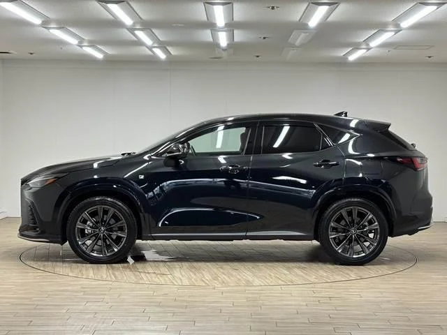 Lexus NX 16