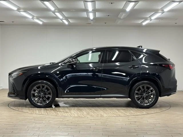 Lexus NX 25