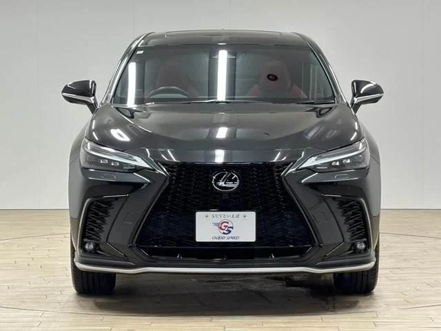 Lexus NX 14