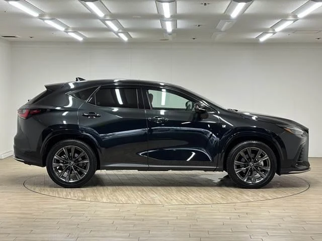 Lexus NX 17