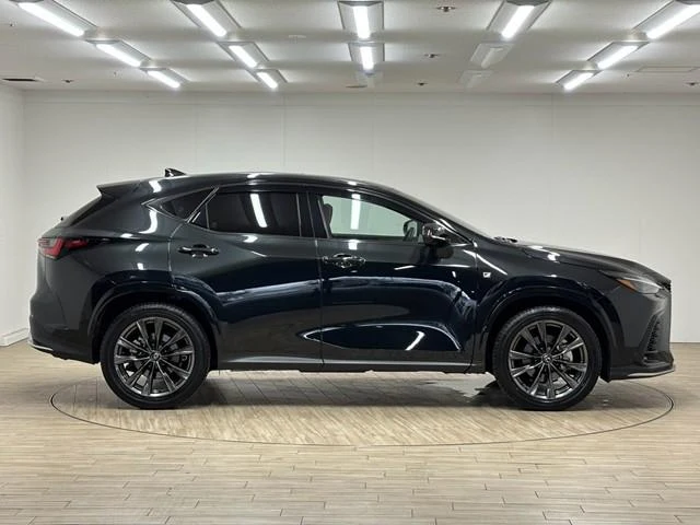 Lexus NX 66