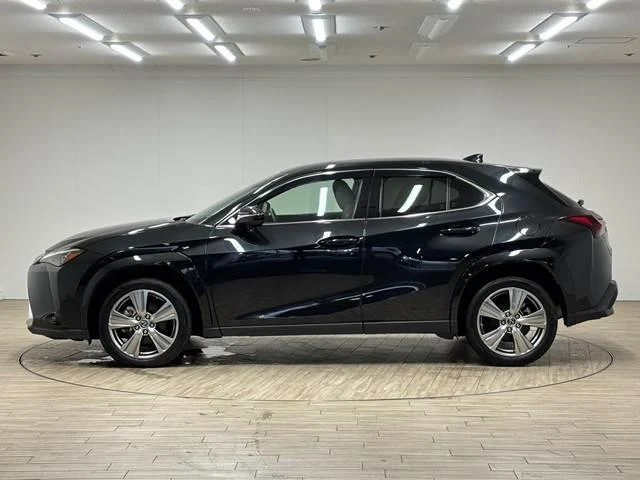 Lexus UX 16