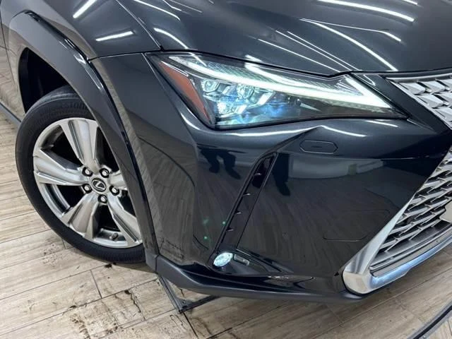 Lexus UX 19